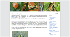 Desktop Screenshot of buglifecycle.com