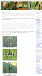 Mobile Screenshot of buglifecycle.com